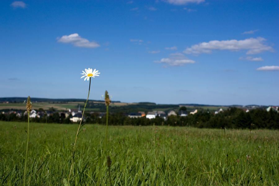 Studiohaus Haus Roswitha Geisfeld  Esterno foto